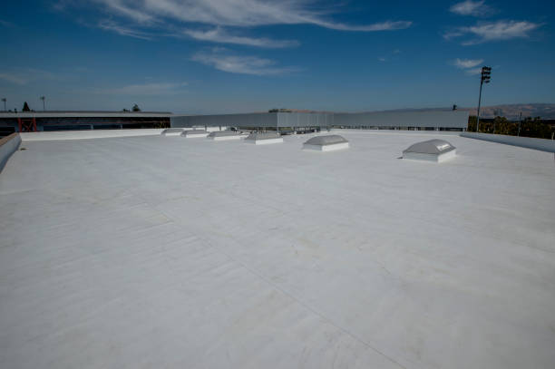 Best Green or Eco-Friendly Roofing Solutions  in Walce Ridge, LA