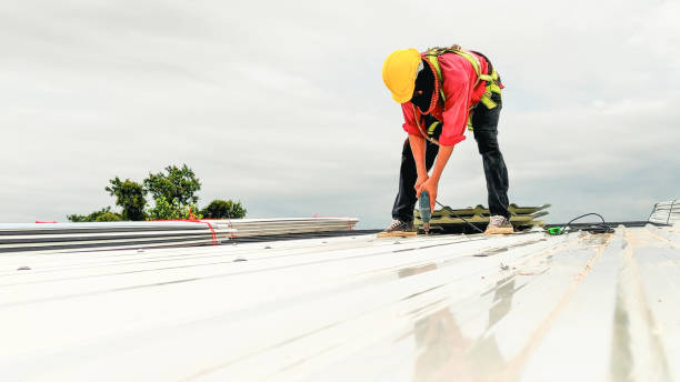 Best 4 Ply Roofing  in Walce Ridge, LA