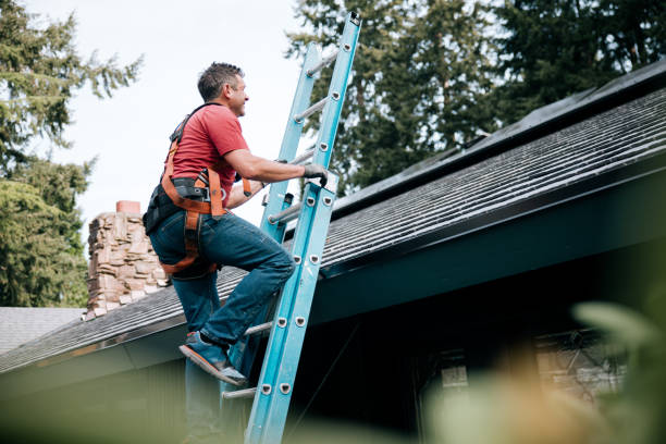 Sheet Metal Roofing in Wallace Ridge, LA